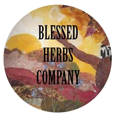 Blessed Herbs Co. 500mg Gummies Blue Raspberry