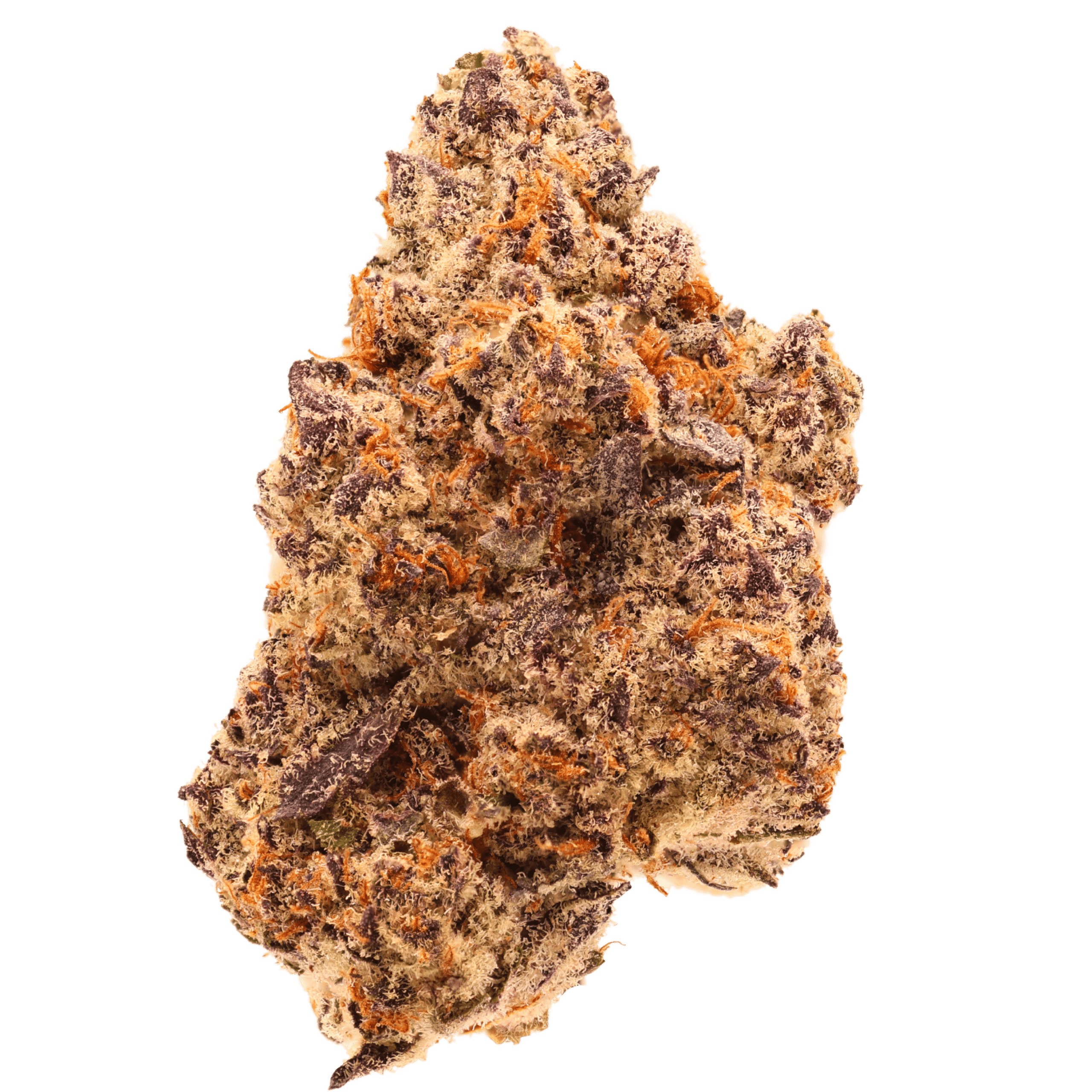 Fuego- Black Cherry Gelato (1G)