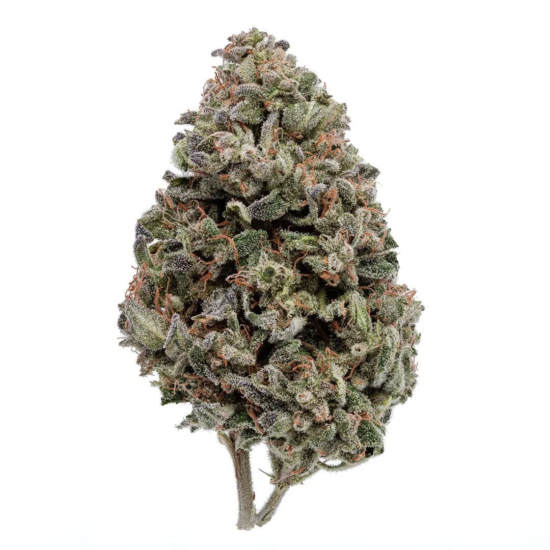 Blessed Herb-Mango OG (3.5G)