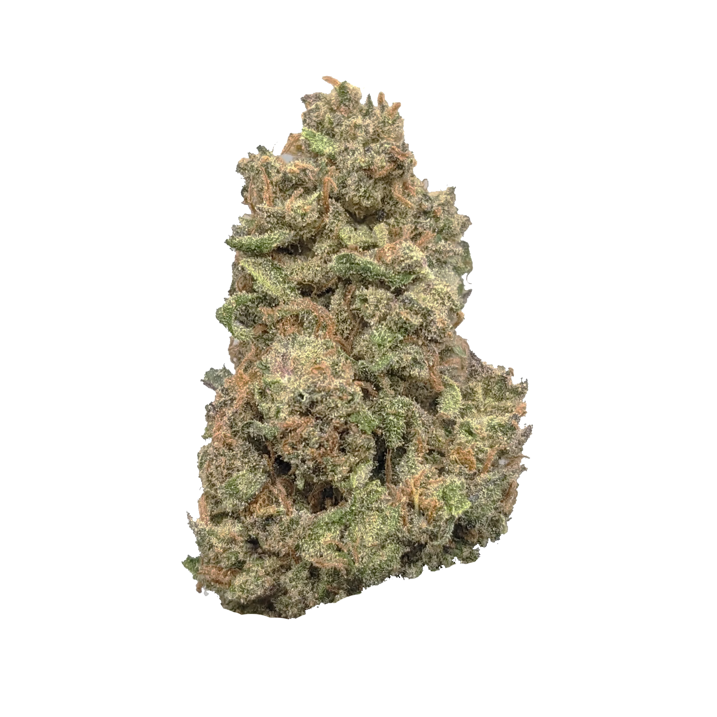 Fuego-Black Cherry Gelato (7G)