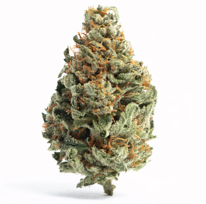 Fuego- Cosmic Cookies (3.5G)