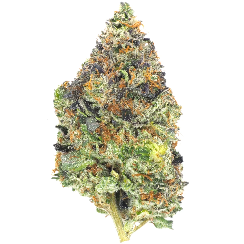 Blessed Herbs- Caviar Gold (3.5G) Sativa