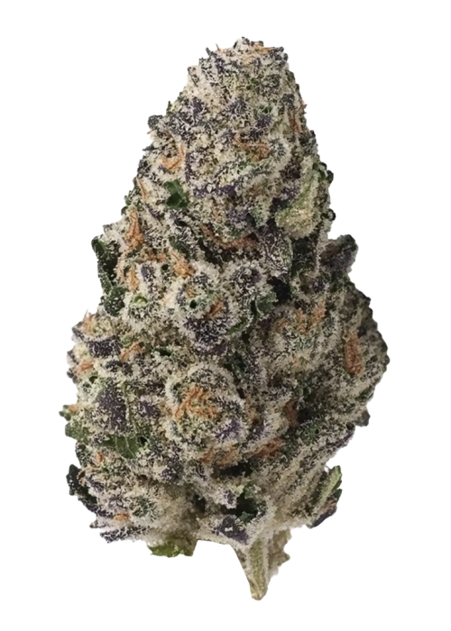 Bay Smoke- Black Amber (3.5G) Indica