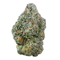 Blessed Herbs- Gelato 41 (3.5G) Hybrid