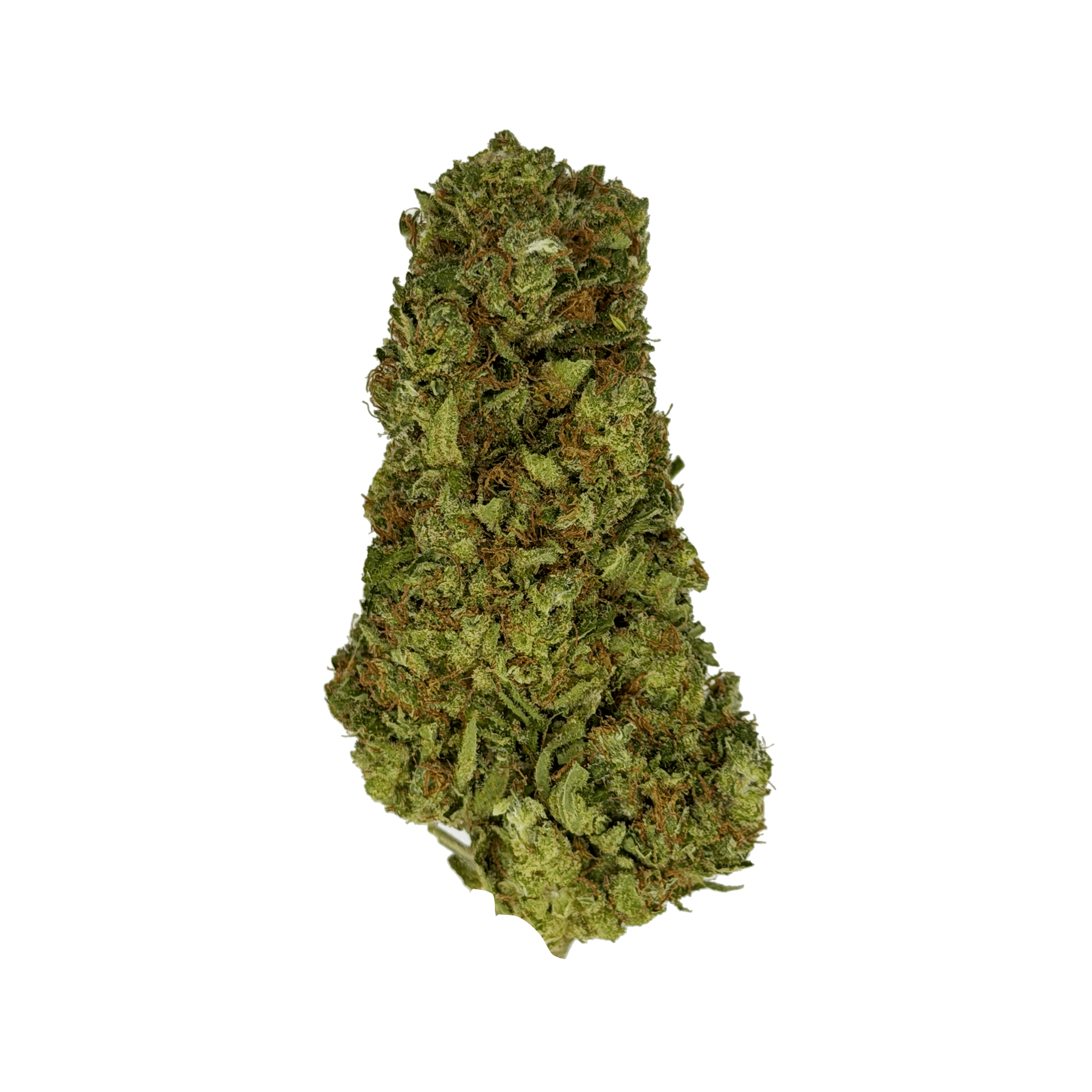 Bay Smoke- Lemon Drop SMALLS (3.5G) Sativa