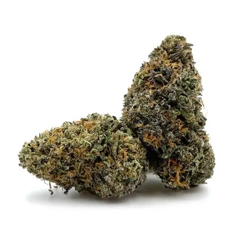 Creating Better Days- Pink Lobster Runtz (3.5G) Indica
