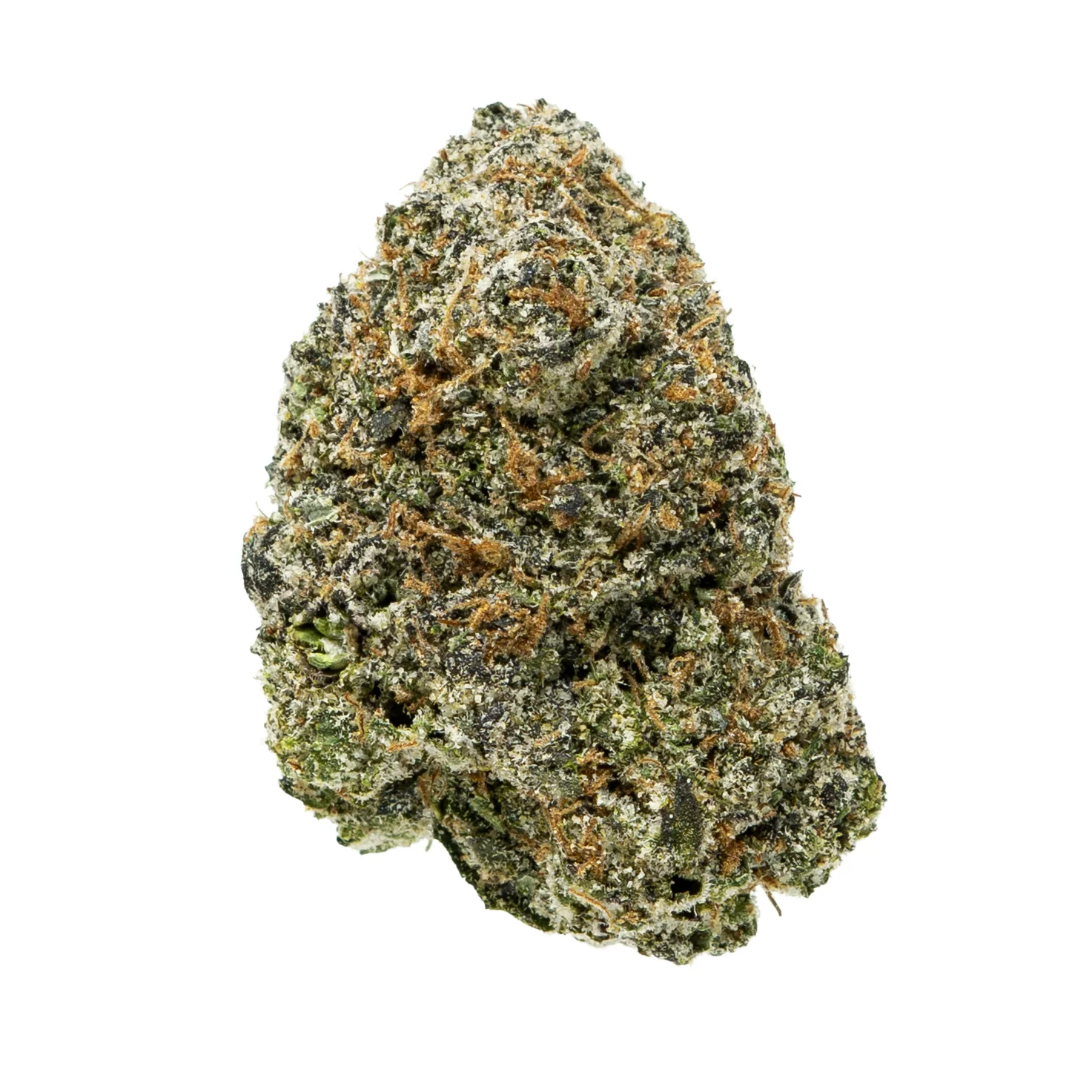 Gold Spectrum- Purple Preserves (7G) Indica