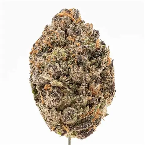 Blessed Herbs- White Cherries (3.5G) Sativa