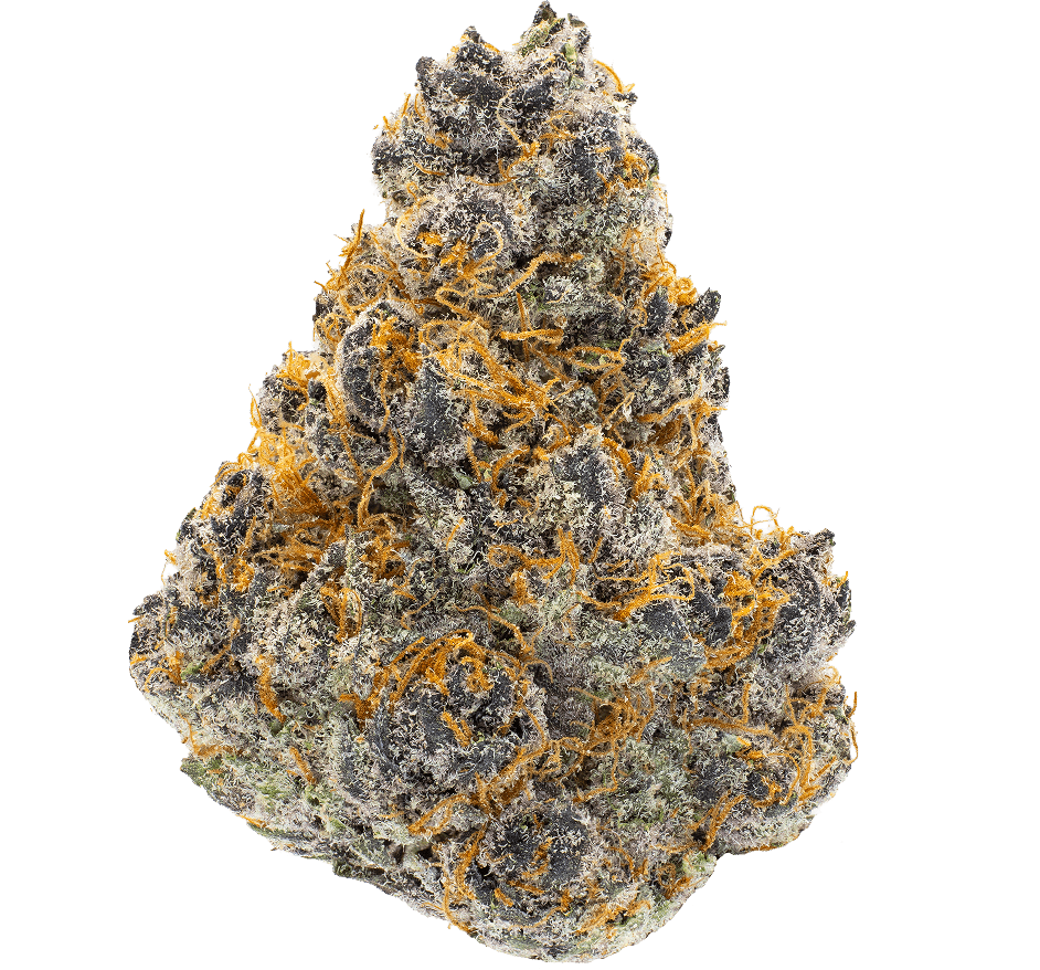 Gold Spectrum- Cherry Trop (3.5G) Sativa