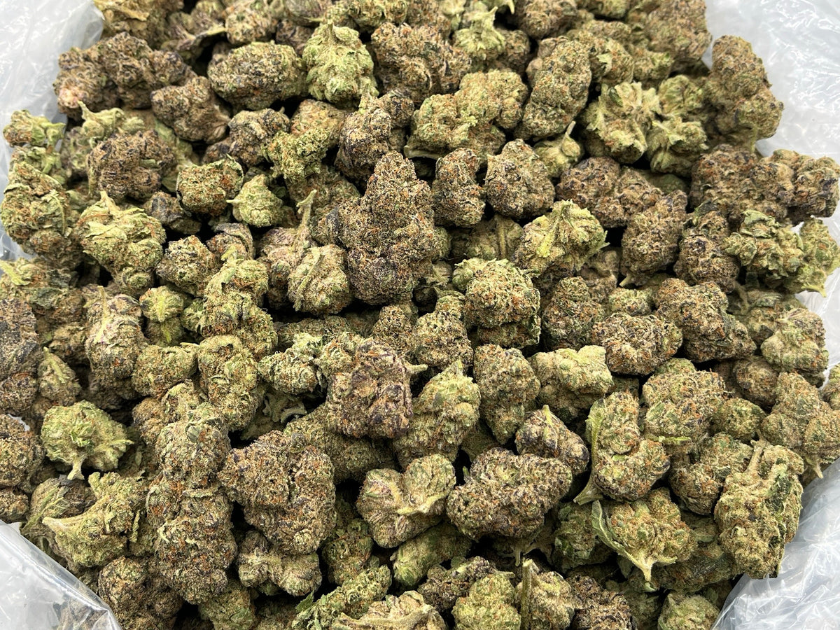 Fuego- Silver Haze (Sativa) 1G