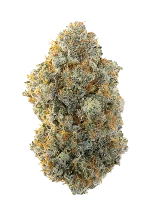 CBD- Willie Nelson (3.5G) Sativa