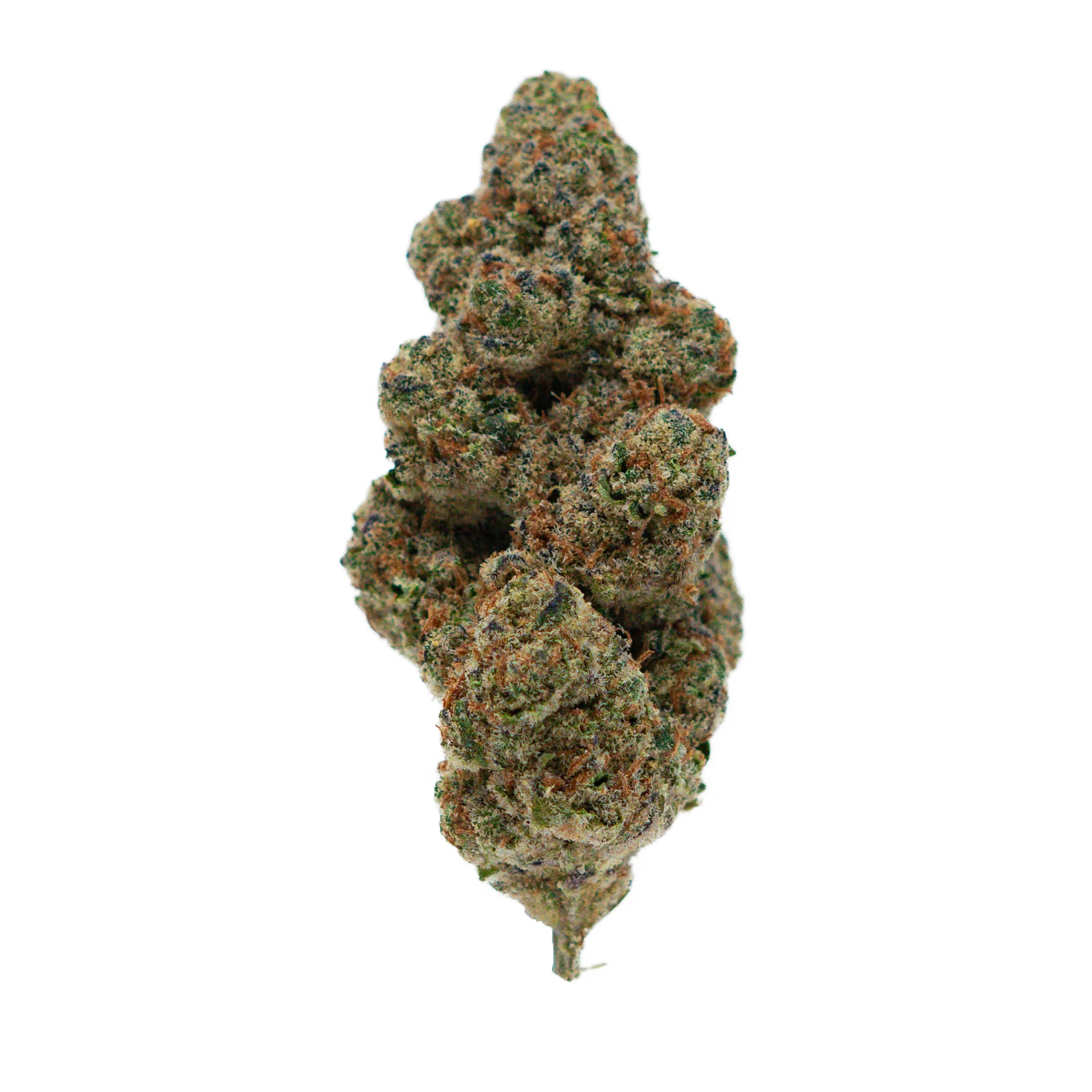 Gold Spectrum- Grape Gasoline (7G) Hybrid