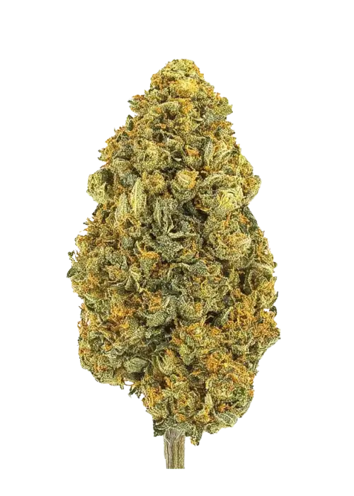 Bay Smoke- Zangria (3.5G) Hybrid