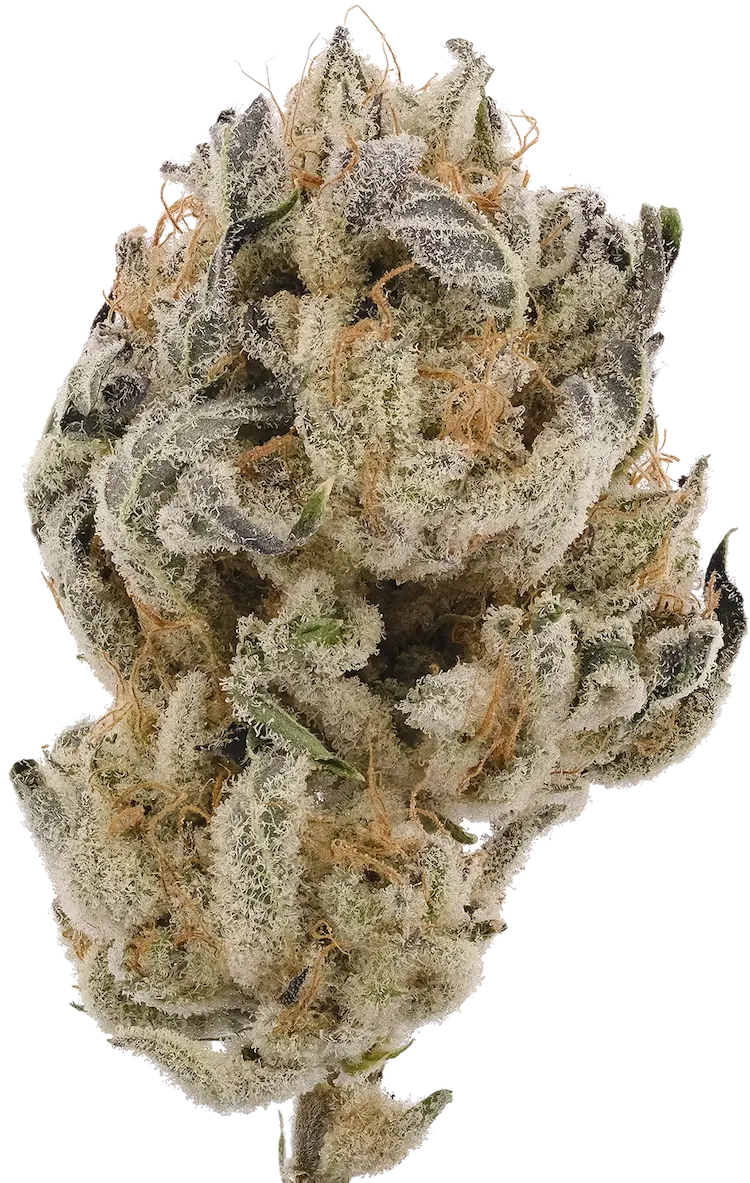 Creating Better Days- Grape Cake (3.5G) Indica Hy