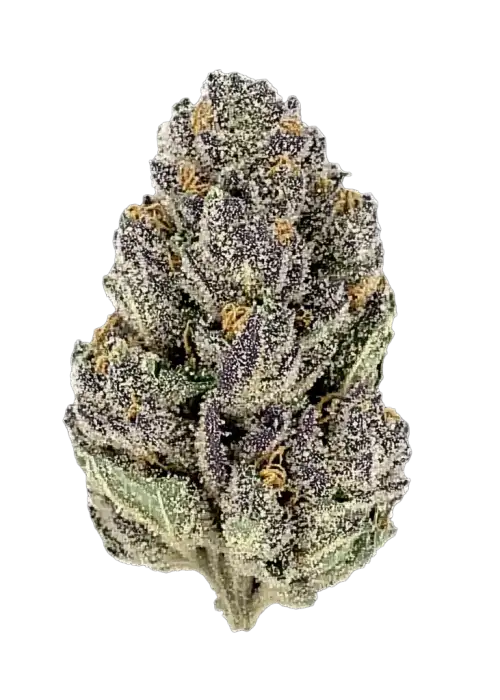 Blessed Herbs- Snow Purple Punch ( 3.5G ) Indica