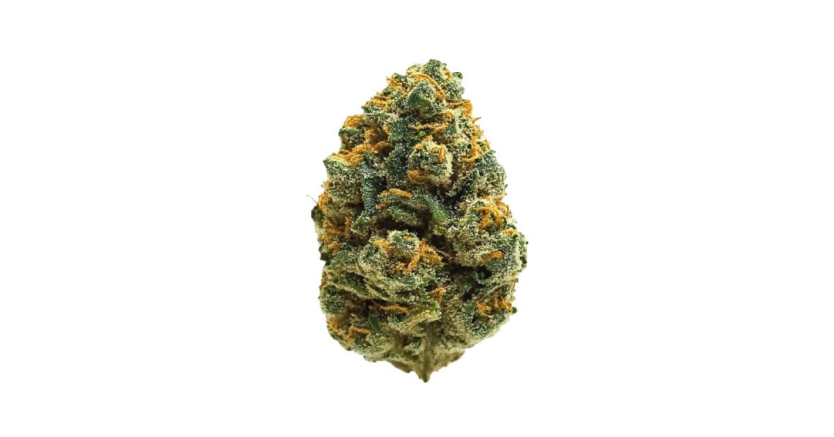 Bodega Boyz-High Society (1G) Sativa
