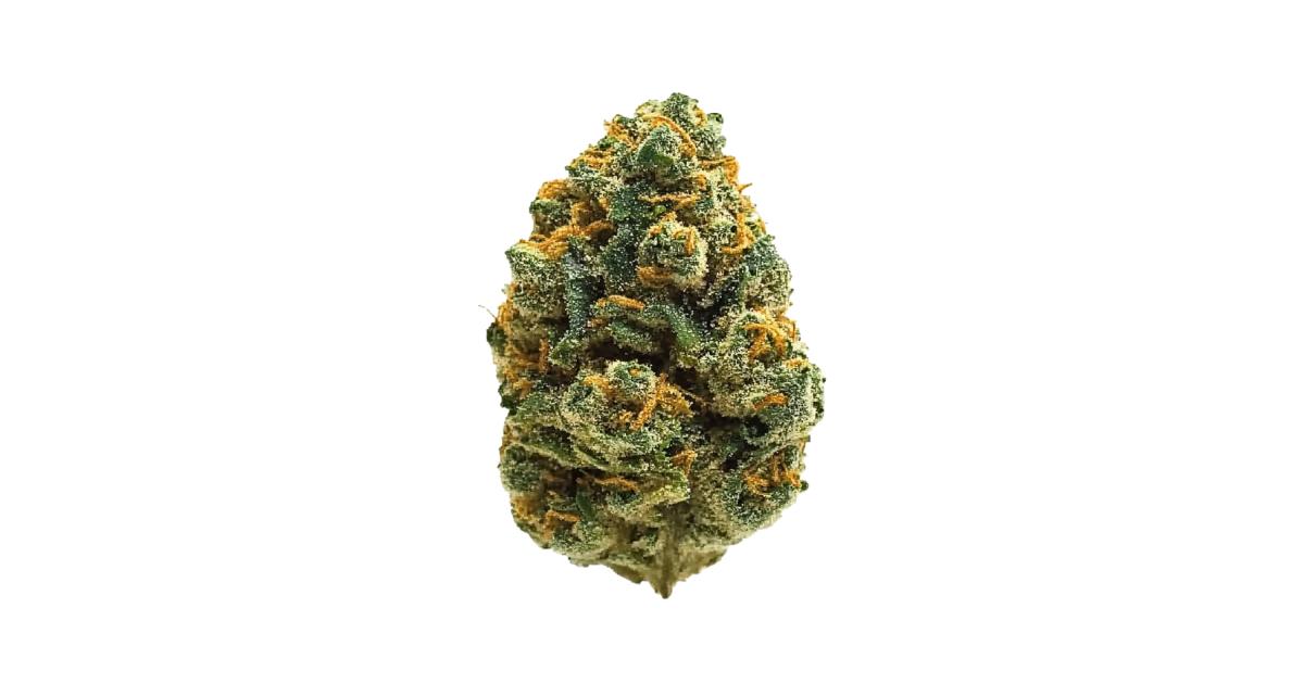 Bodega Boyz-High Society (3.5G) Sativa