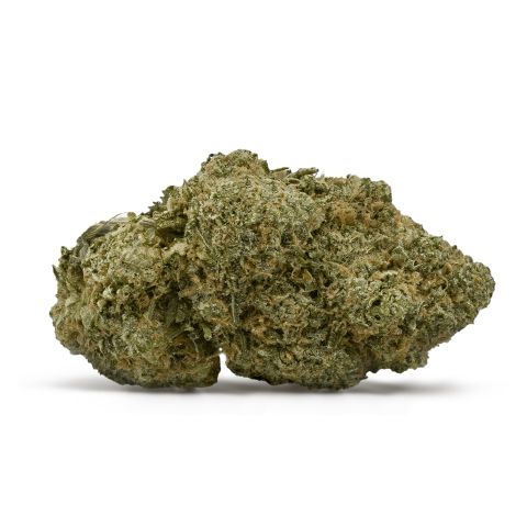 Gold Spectrum- Gelatti (7G) Indica