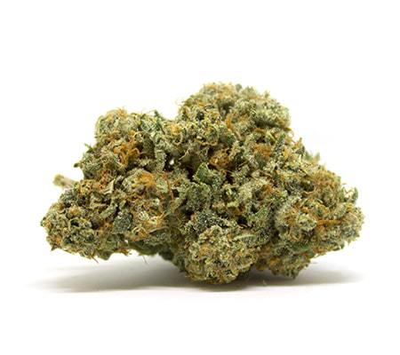 Bodega Boyz- Sour Tangie (3.5G) Sativa -Hybrid