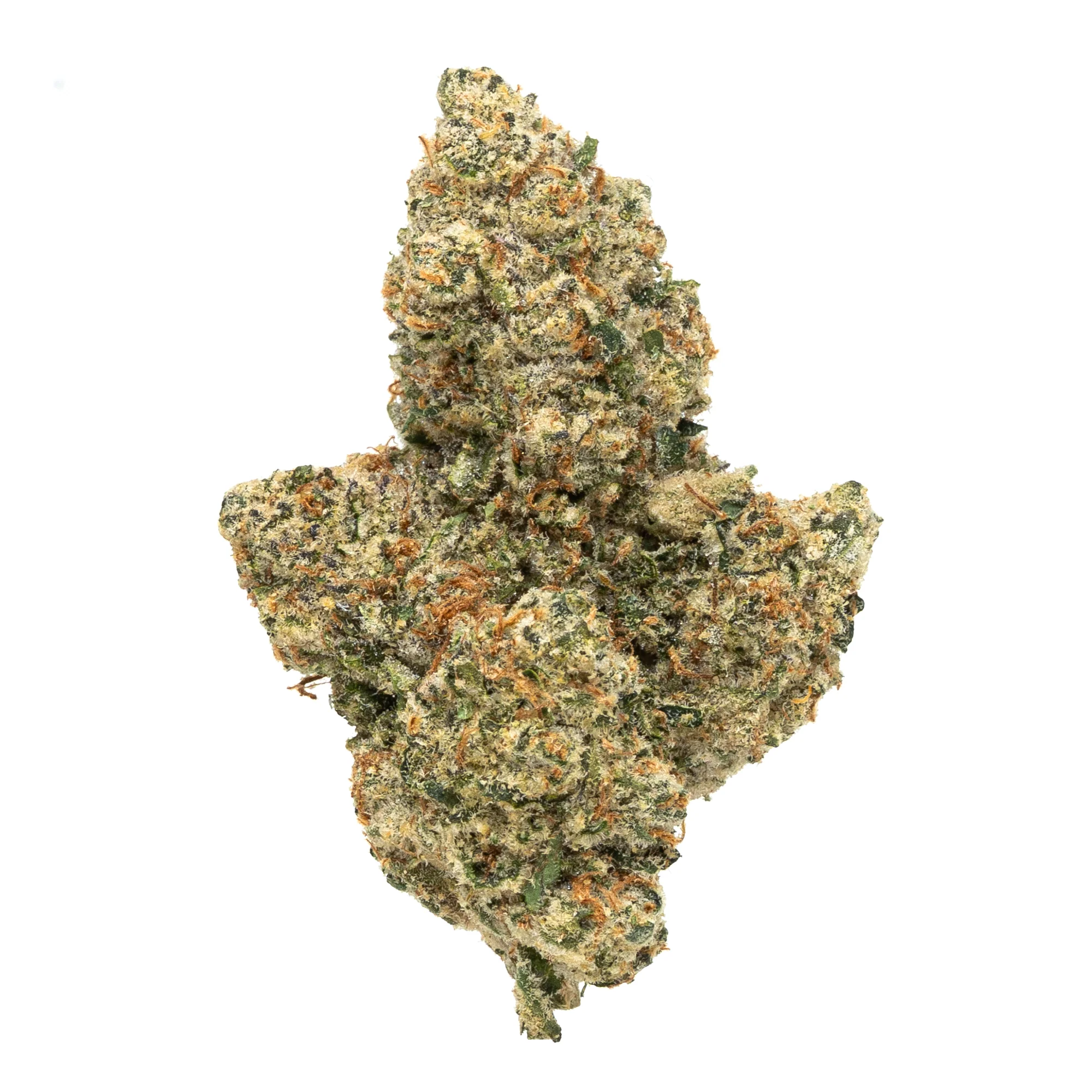 Gold Spectrum- Pink Z (7G) Sativa