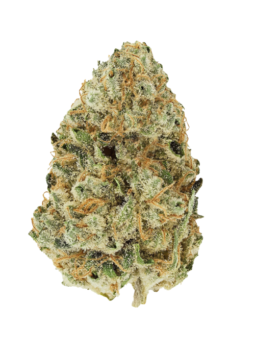 Blessed Herbs- Golden Ticket (3.5G) Hybrid