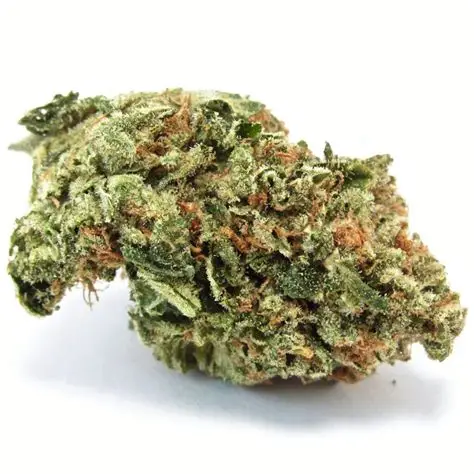 Blessed Herbs- Motor Breath (3.5G) Sativa