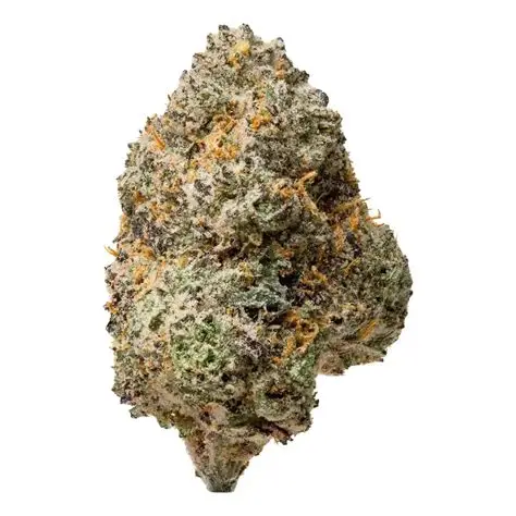 Gold Spectrum- Garlic Cookies (7G) Indica