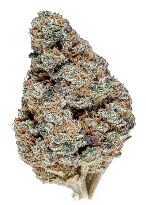 Bodega Boyz- Mac 1 x Slurricane (3.5G) (I-H)