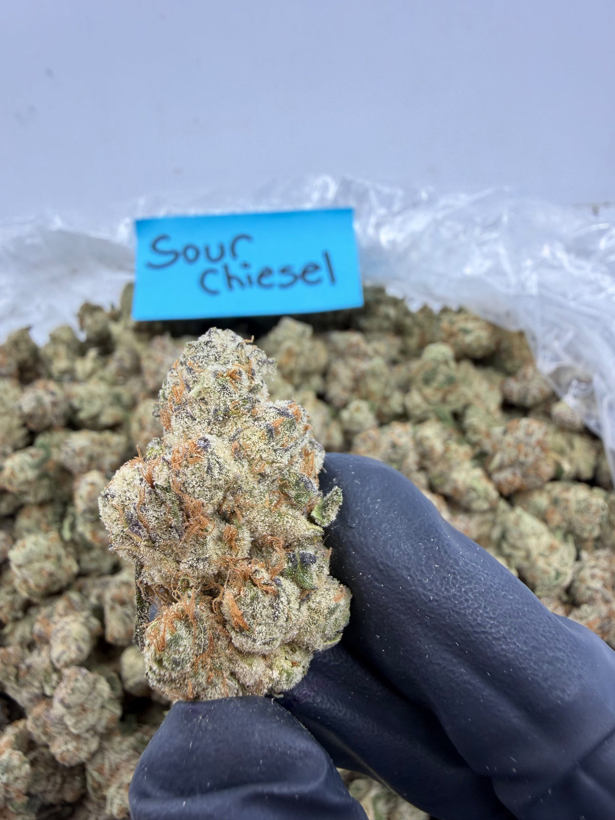 Bay Smokes- Sour Chiesel ( Sativa-Hybrid) 3.5G