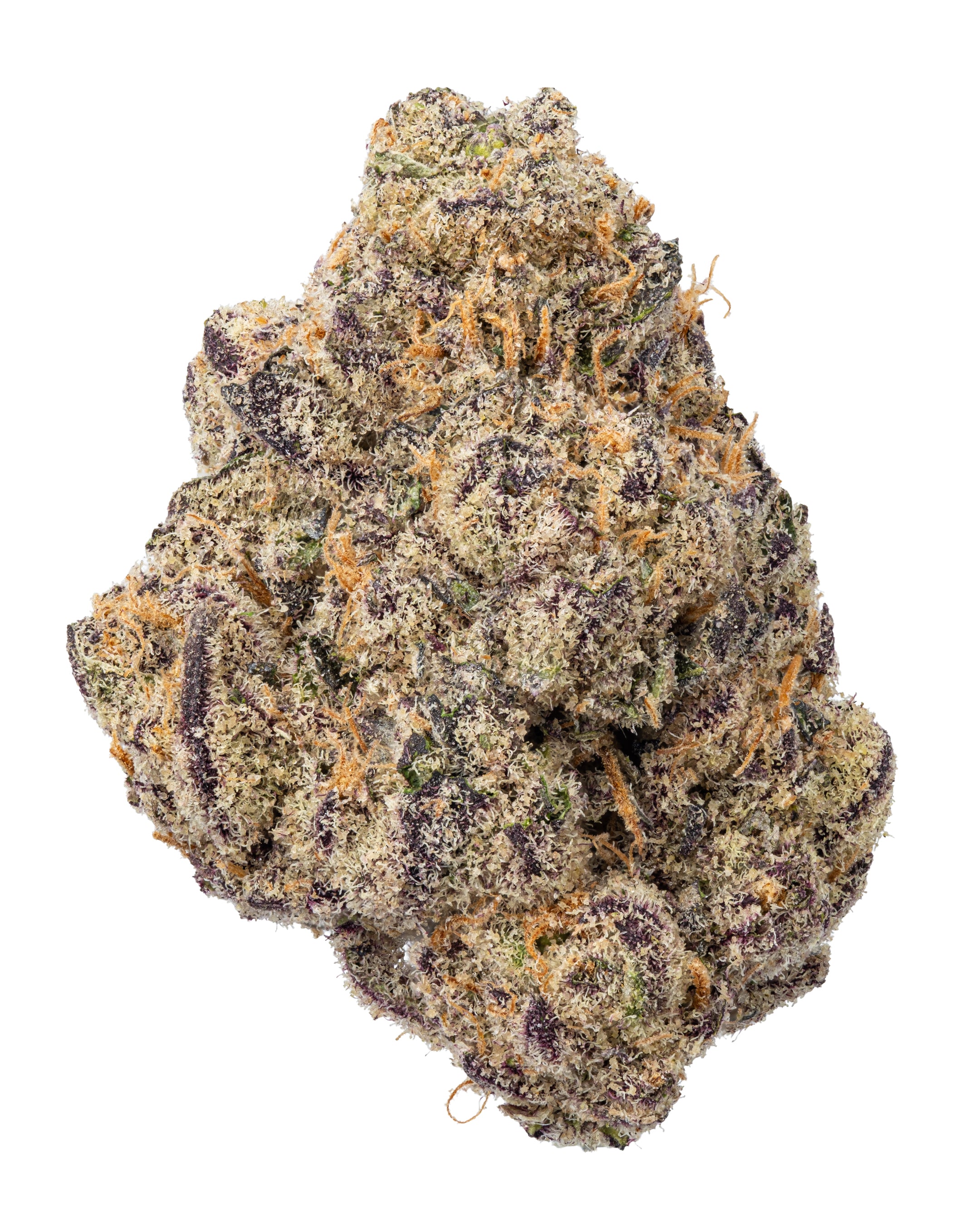 WNC Pre Pack (3.5g) Biscotti Cream