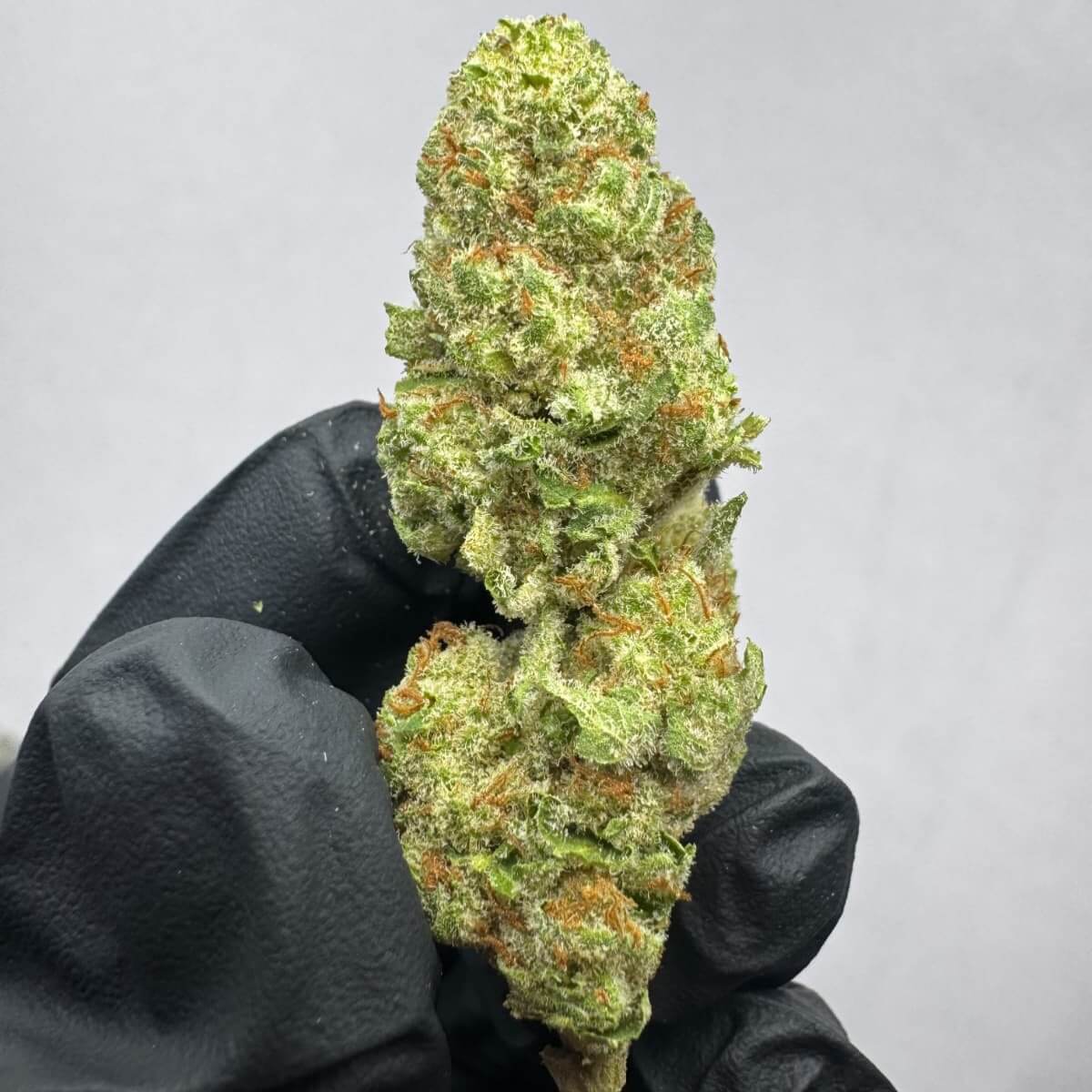 CBD- El Chivo (3.5G)