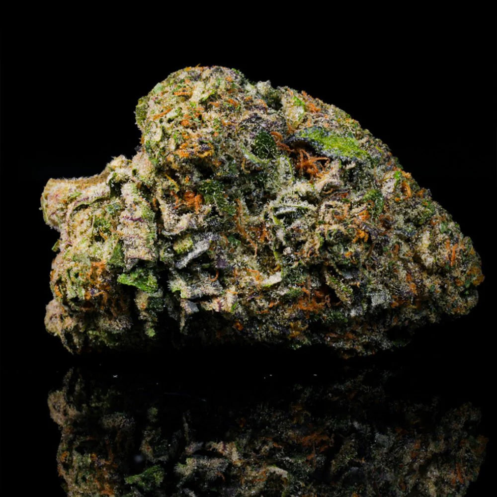 Fuego- Watermelon Runtz (7G)