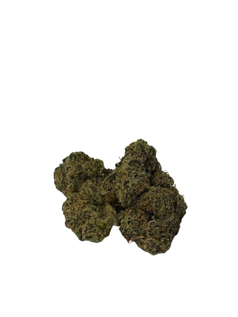 OVI (Hybrid)