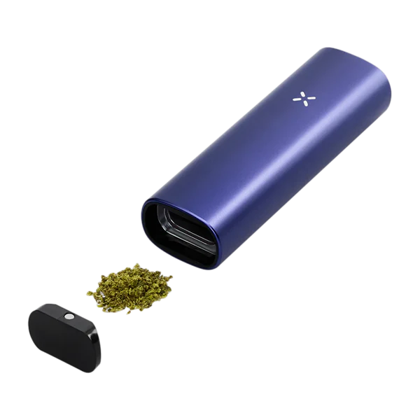 PAX Plus Periwinkle