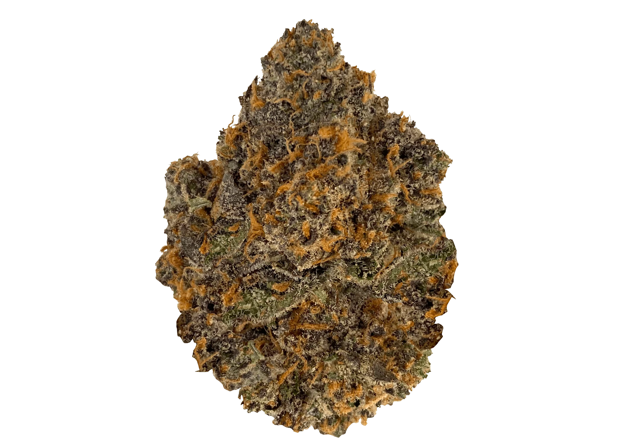 Fuego-Rainbow Sherbet (3.5G)