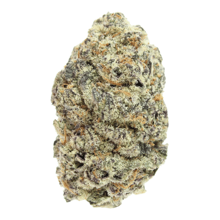 Red Dragon-Slurricane (1G)