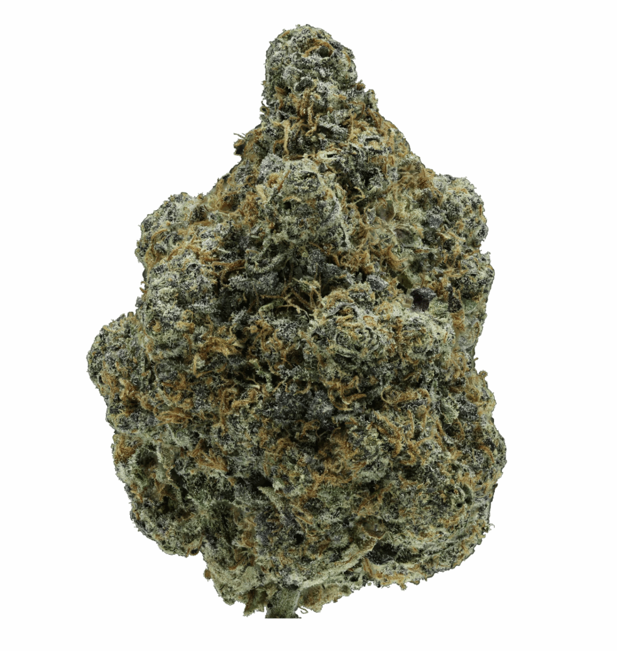 Blessed Herb - Space Rocks (7G)