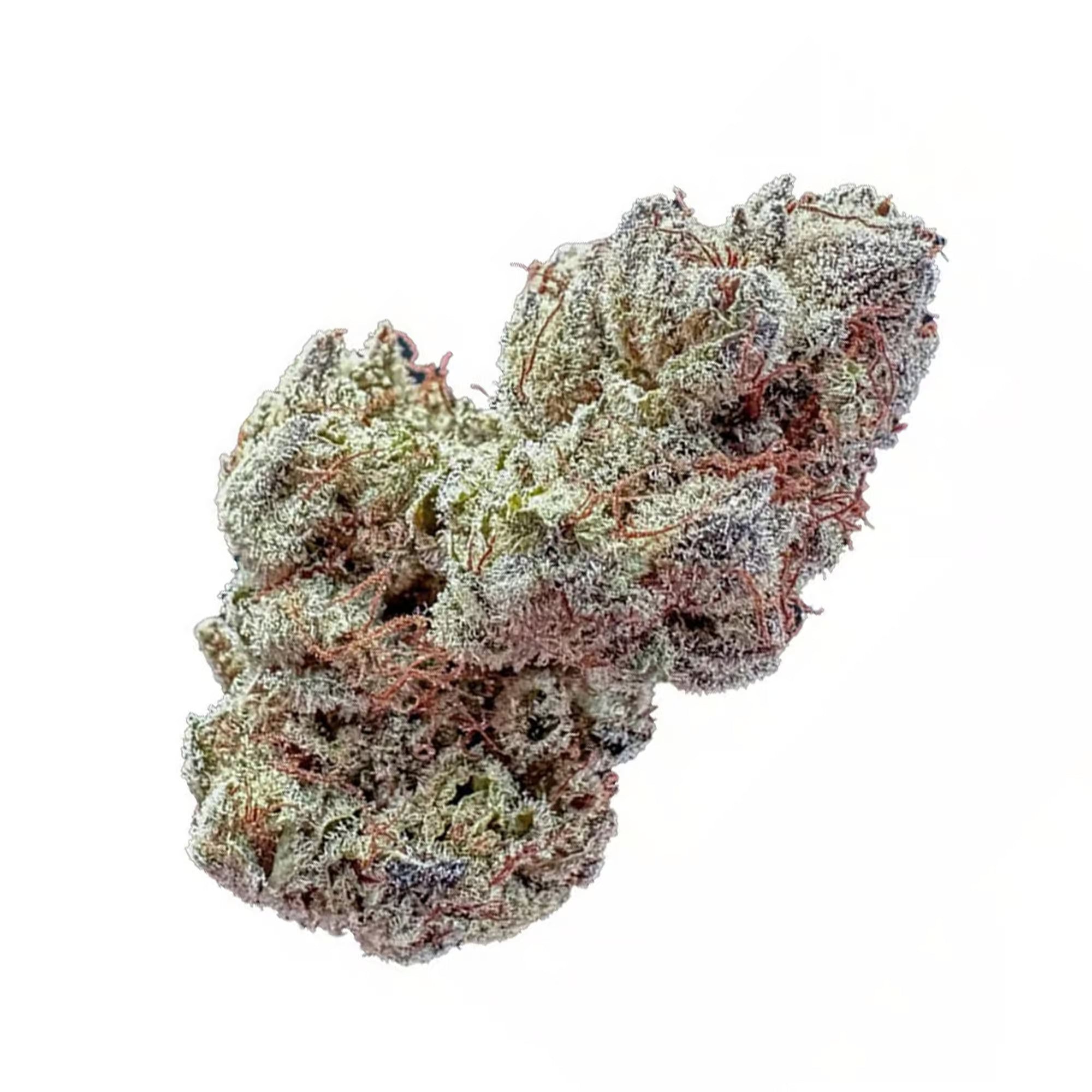 Fuego - Watermelon Runtz (3.5G)