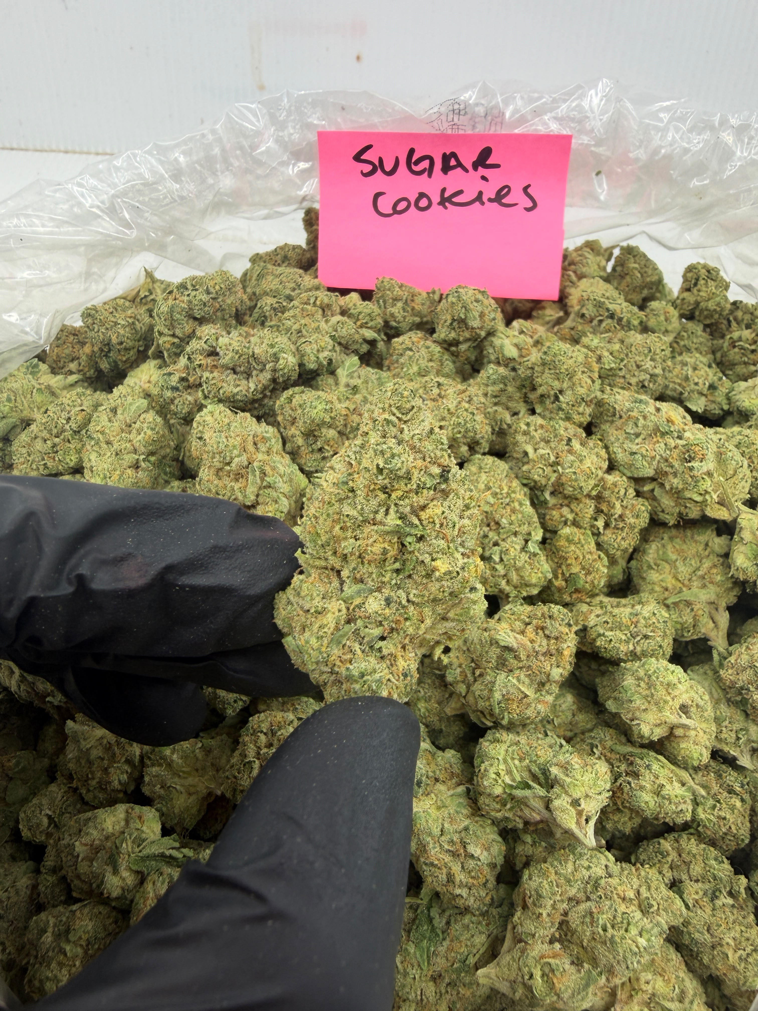 Bay Smokes - Sugar Cookies SMALLS (3.5G) Indica