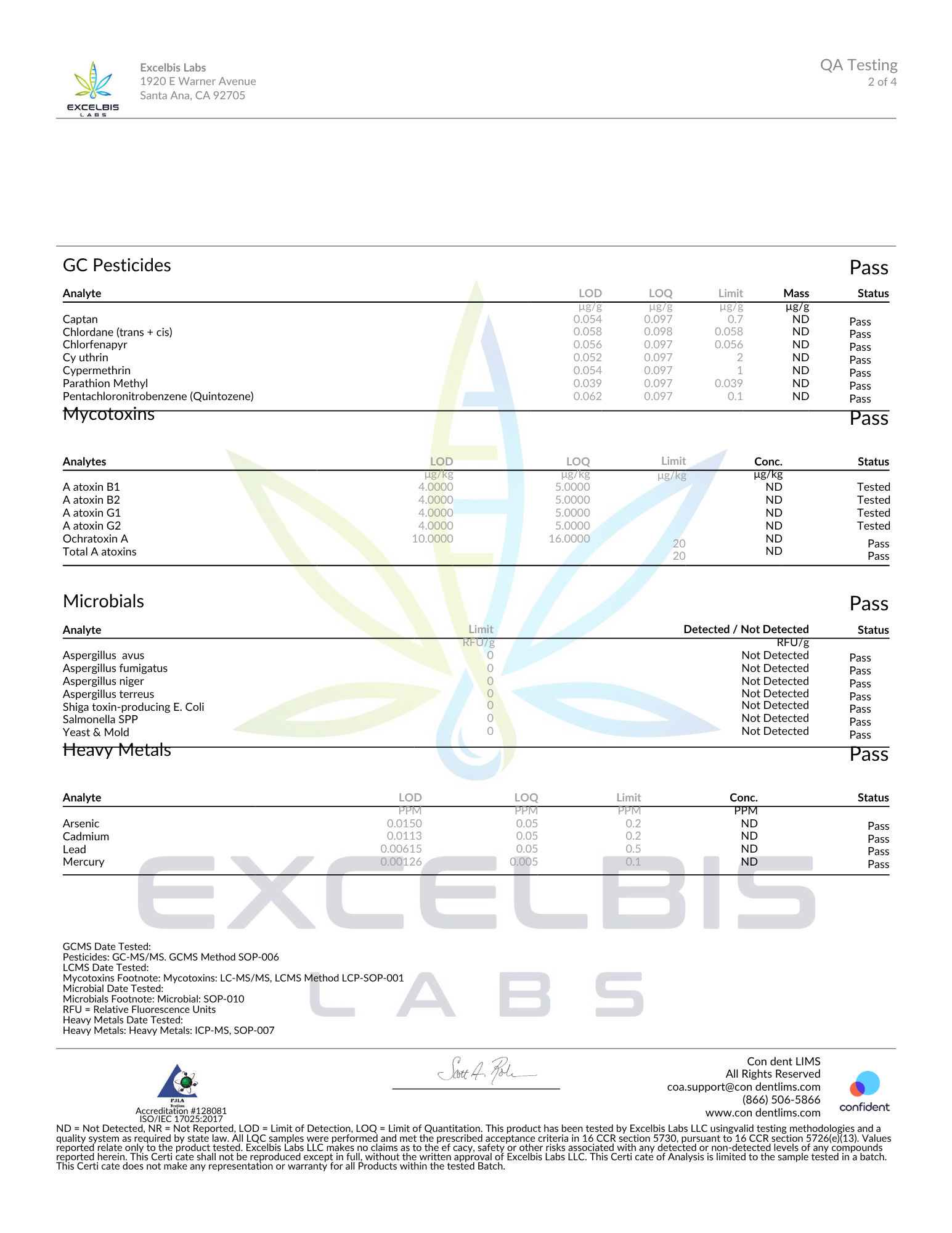 Fuego 2G Hash Hole ZASHIMI (INDICA)