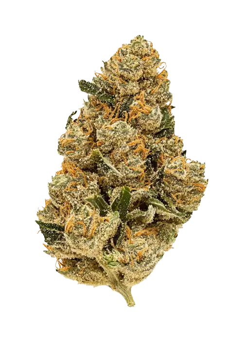 Blessed Herbs- Purple Rhino (3.5G) Indica (Hybrid)