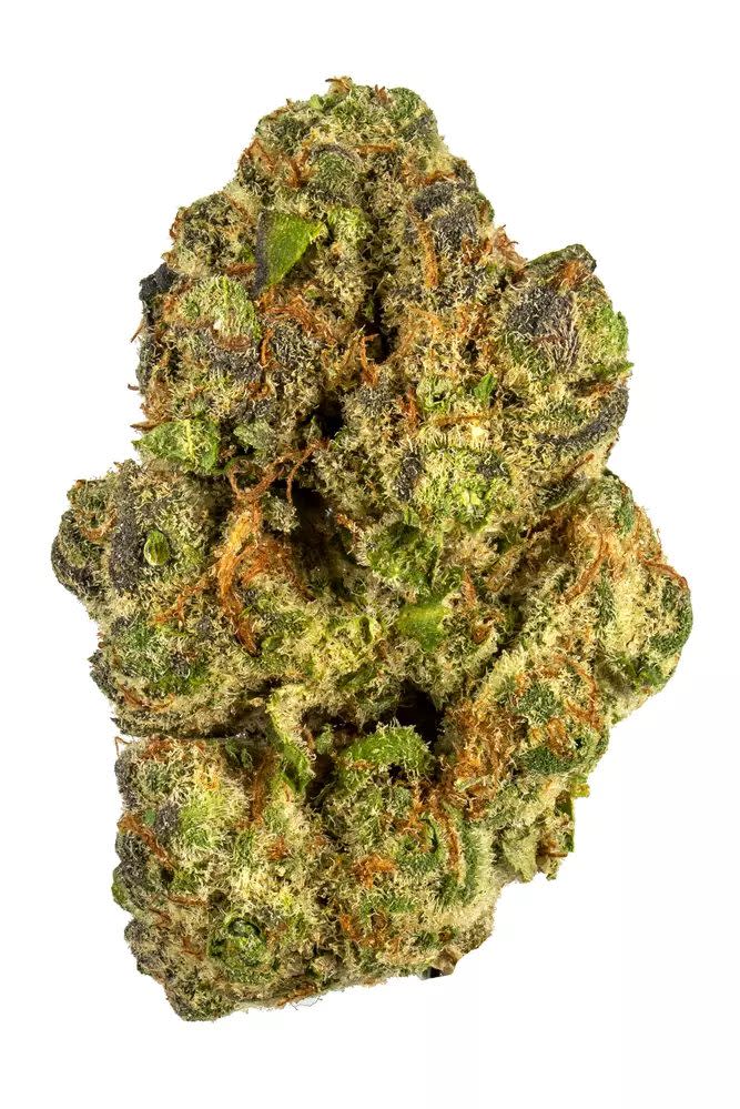 Bodega Boyz- Berry Pie (1G) Indica