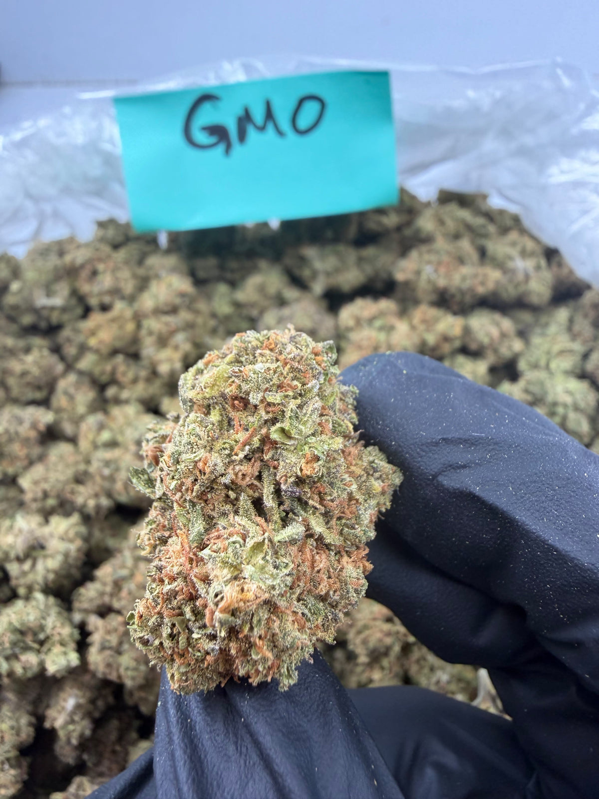 Bay Smokes- GMO ( Indica- Hybrid) 1G