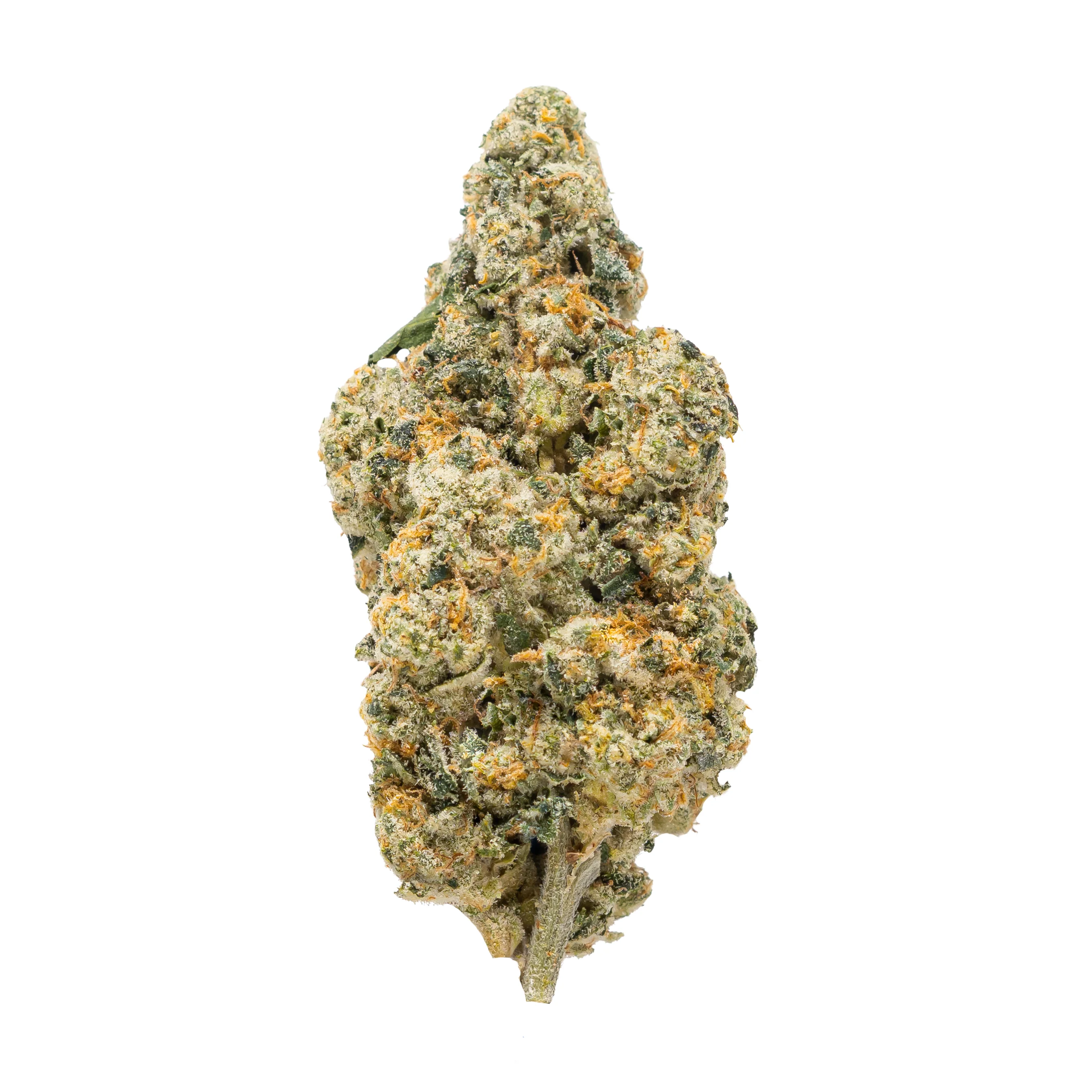 Gold Spectrum- White Rhino (3.5G) Hybrid