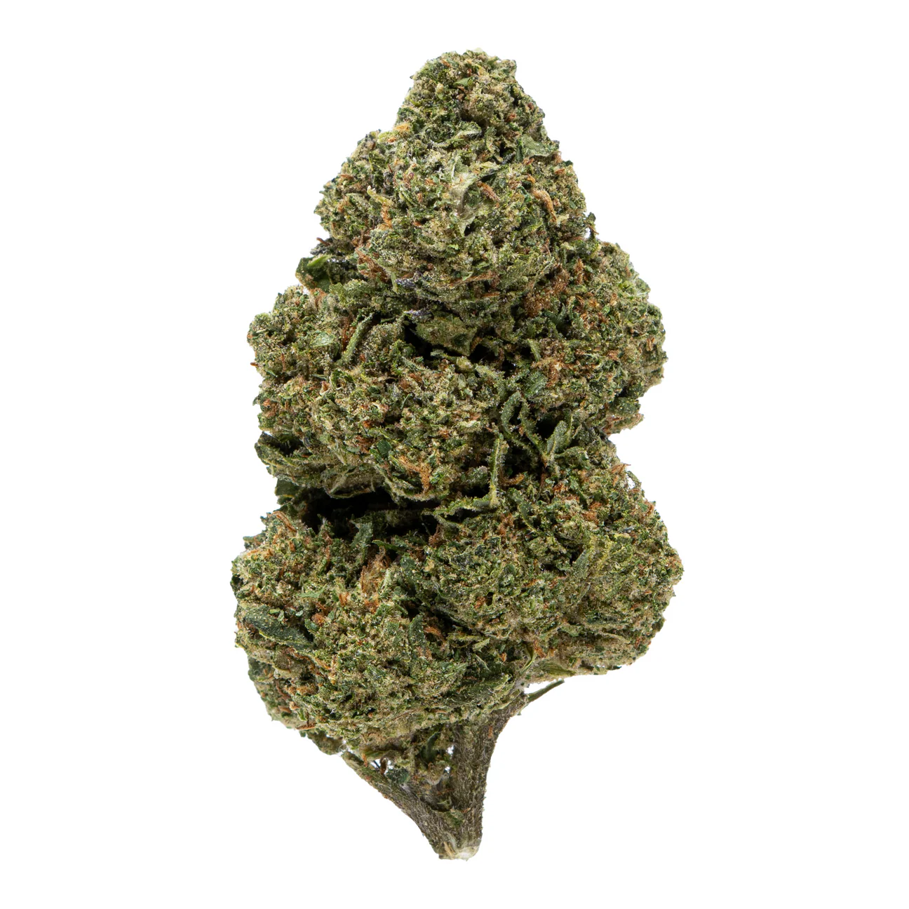 Gold Spectrum- Sour OG (7G) Sativa