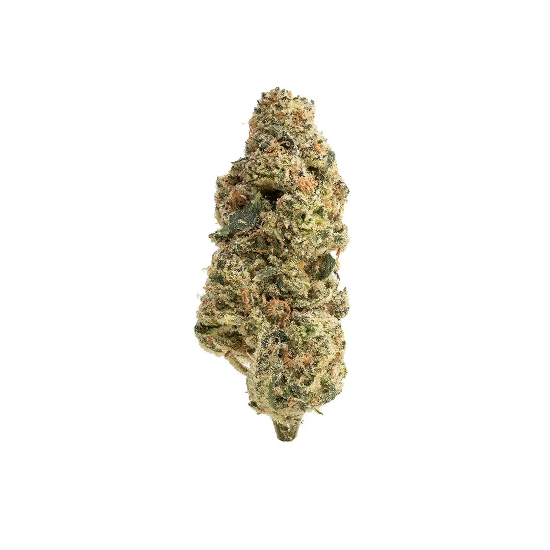 Bodega Boyz - Grape Gas (3.5G) Hybrid