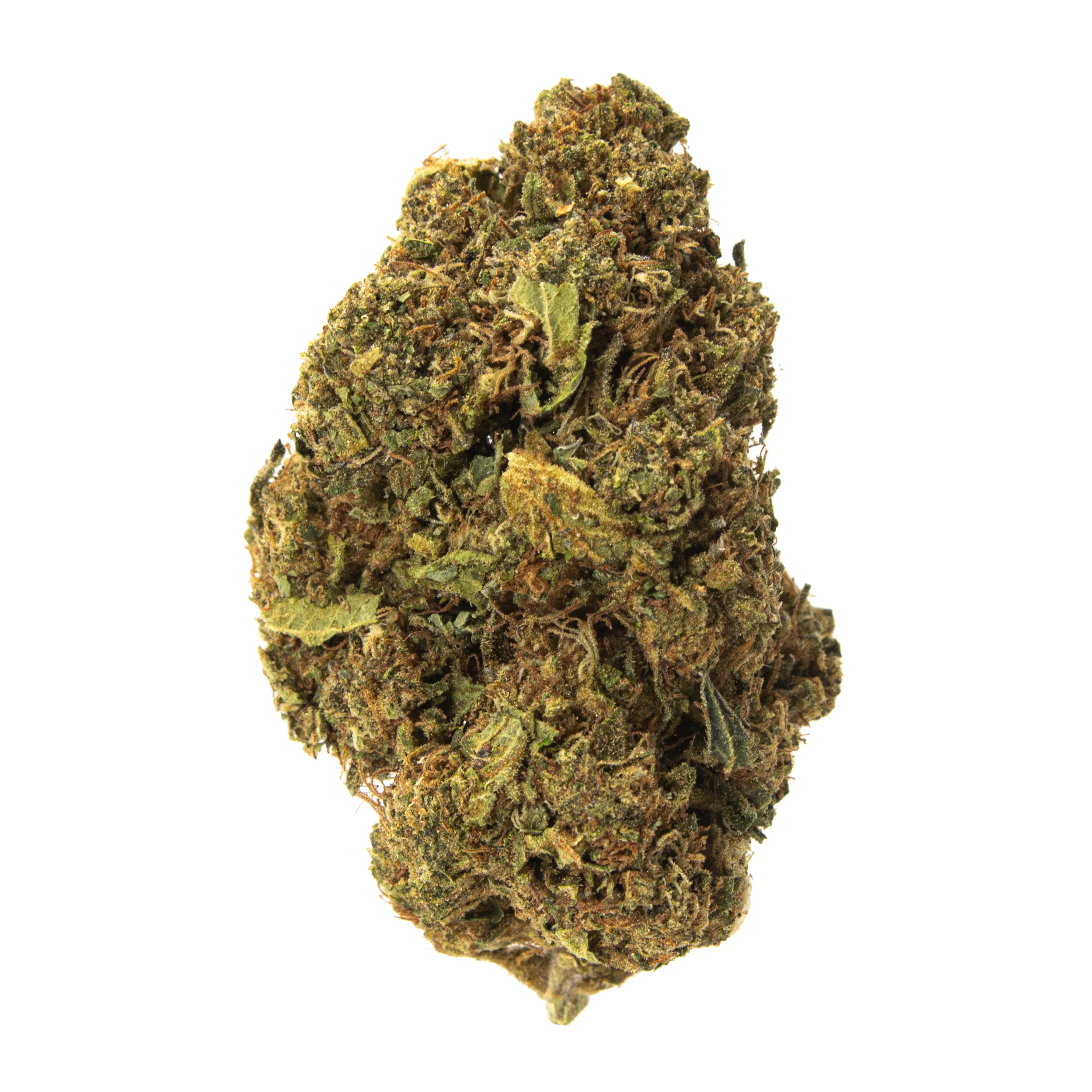 Gold Spectrum- Sherbacio (3.5G) Hybrid