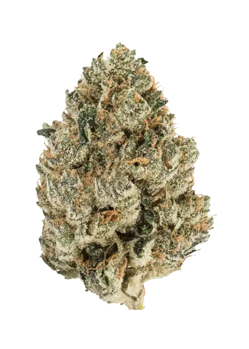 Creating Better Days- Grape Stomper (3.5G) Sativa