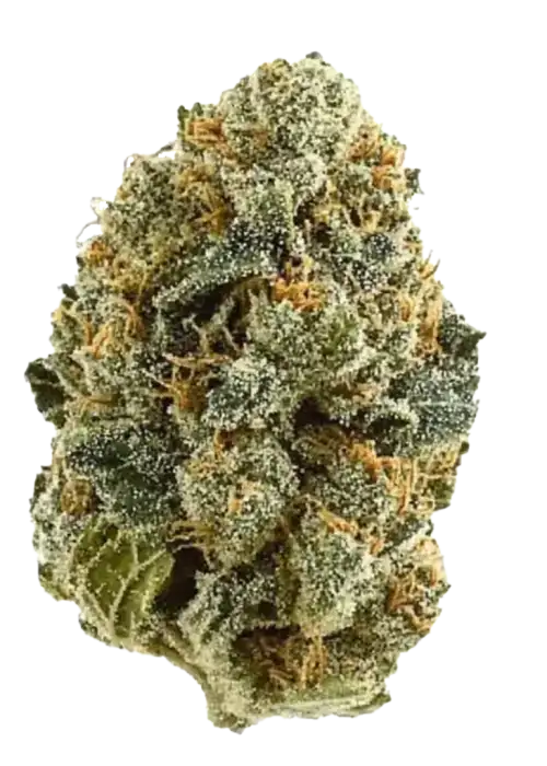 Bay Smokes- London Truffle (Indica) 3.5G
