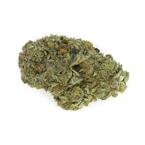 Blessed Herb- Gorilla Glue (7G) Hybrid
